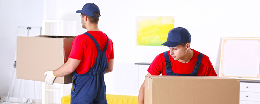 House Shifting Qatar